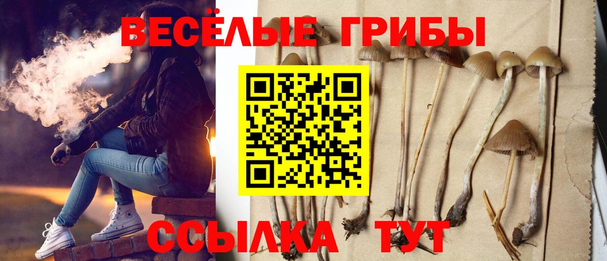 цена   Псилоцибиновые грибы Psilocybine cubensis  Вход с VPN  Галлюциногенные грибы MAGIC MUSHROOMS  Орехово-Зуево 